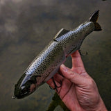 11" Hiro Trout