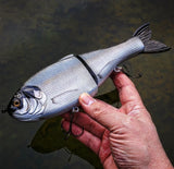 10" Hiro Shad