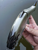 10" Hiro Shad