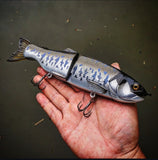 10.5" Hiro Trout