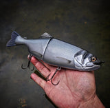 11" Slim Hiro Trout (New Release)