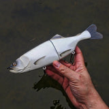 11" Slim Hiro Trout (New Release)