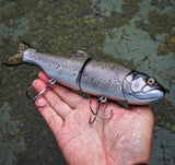 10.5" Hiro Trout