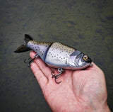 7" Hiro Shad