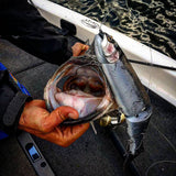 13" Hiro Trout (discontinued)