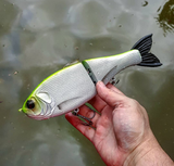10" Hiro Shad