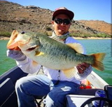 5" Gillrilla (discontinued)