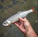 13" Hiro Squaw (discontinued)