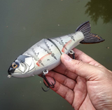 7" Hiro Shad