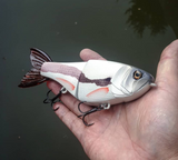 7" Hiro Shad