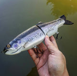 11" Hiro trout (In Stock)
