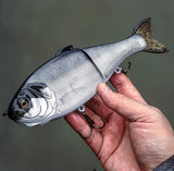 10" Hiro Shad