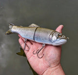 10.5" Hiro Trout