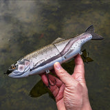 11" Hiro Trout (pre-order)