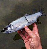 11" Hiro Trout (pre-order)