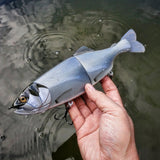11" Slim Hiro Trout (Ready to ship)