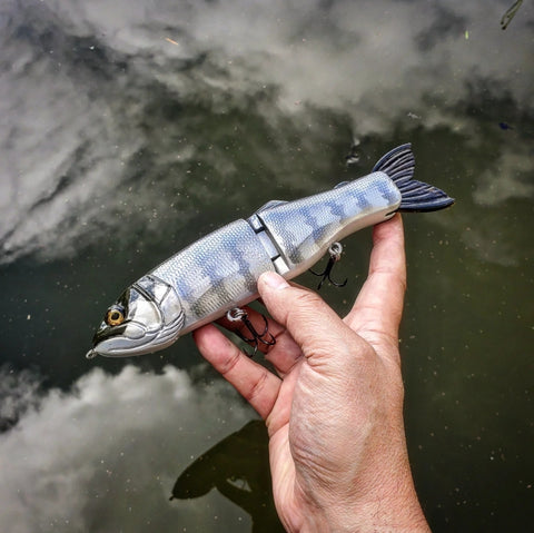 8.5" Hiro soft tail (Ready to ship)