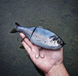 10" Hiro Shad (in stock)