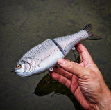 10" Hiro Shad (in stock)