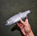 11" Hiro Trout (pre-order)