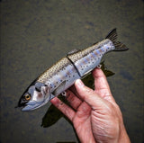 10" Hiro Trout (pre-order)