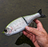 10" Hiro Shad (in stock)