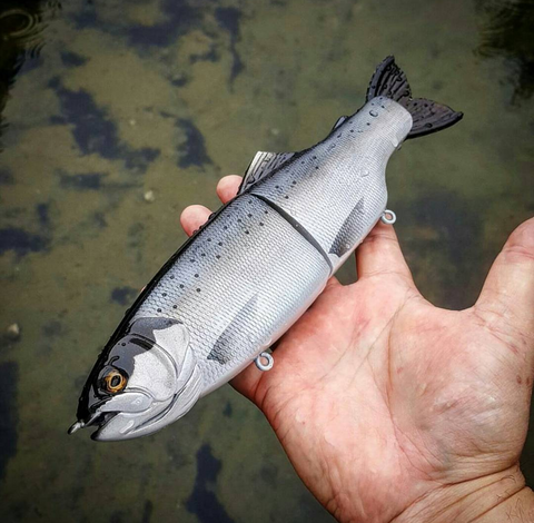 11" Hiro trout