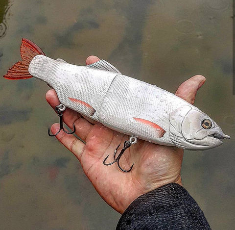 11 Hiro trout (In Stock) – Hiroshima Customs